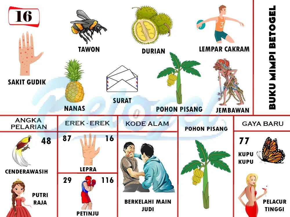 buku mimpi erek erek togel 16